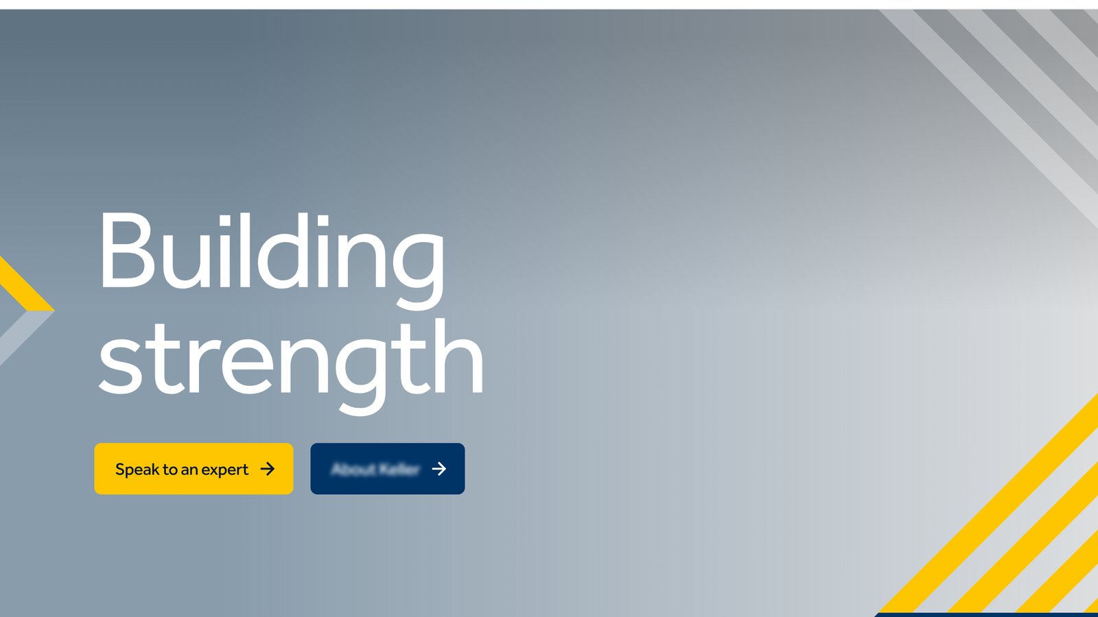 Client website homepage, identifiers blurred