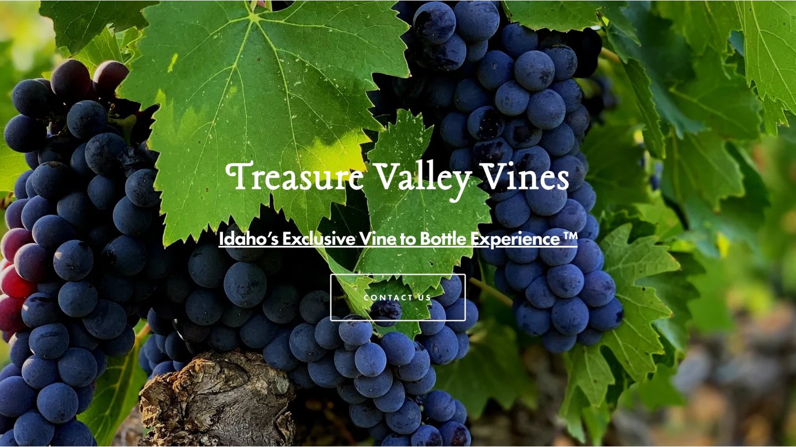 Treasure Valley Vines homepage